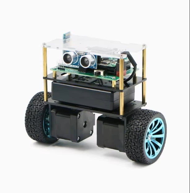 Engineered Metal Frame Balance Car Chassis for Smart 2WD Robot Applications