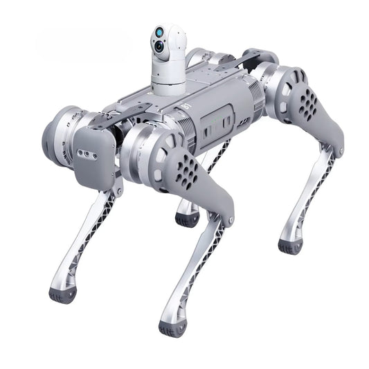 Smart Robotic Dog Equipped with HighDef Network Camera for Construction Site Monitoring