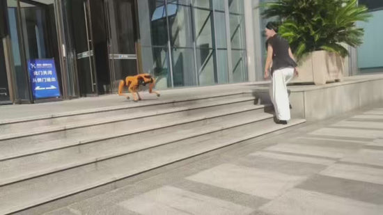 Remote Control Robot Dog Quadruped Mechanical Artificial Intelligence Construction Machinery Part